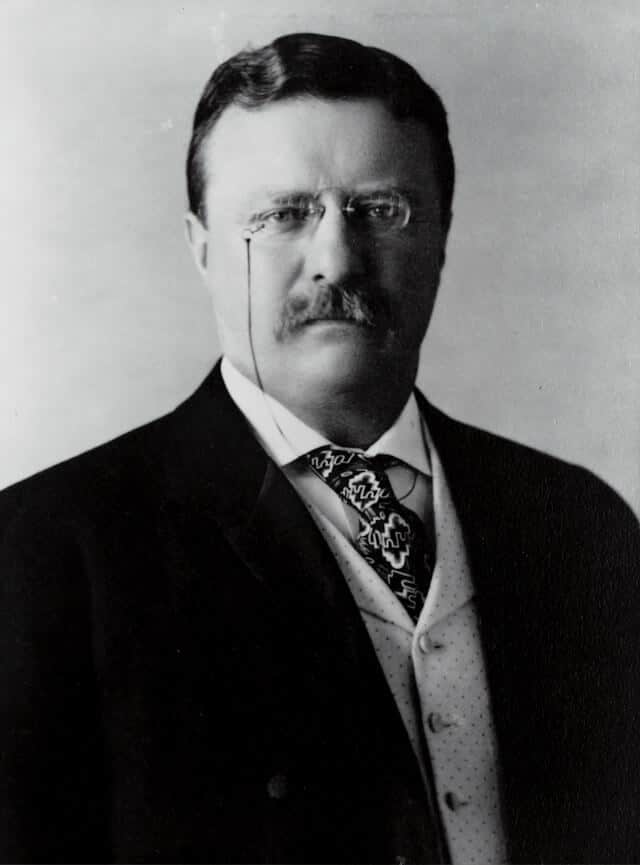 Free to Use Picture of Theodore Roosevelt